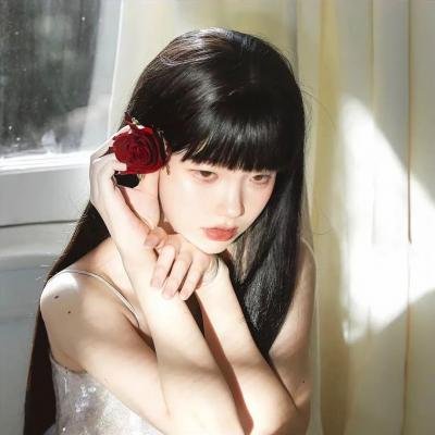 性感女勇士 海报